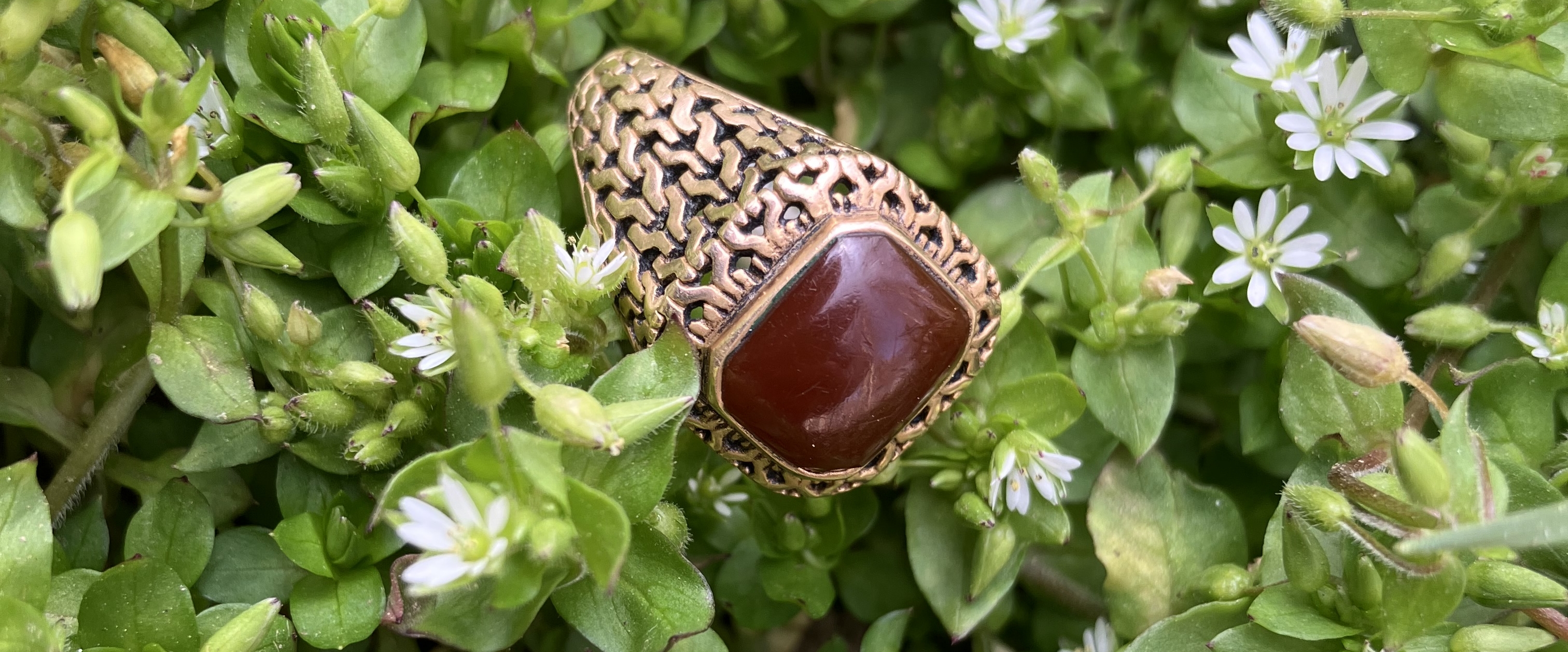 گروه پارسی زبانان banner