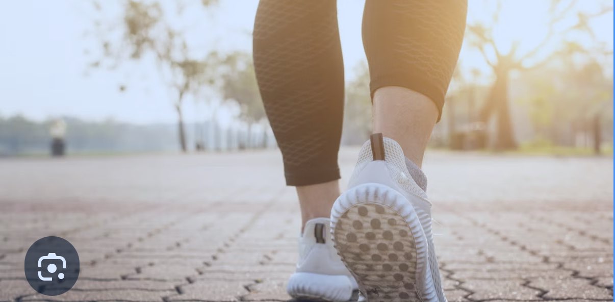 Northern peaks banner