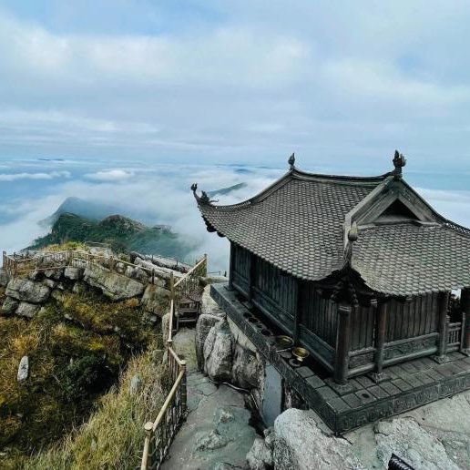 VNK - Đội Xanh lá logo