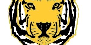 AFMHS “Walk It Out” Challenge banner