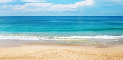 Together We Stride banner