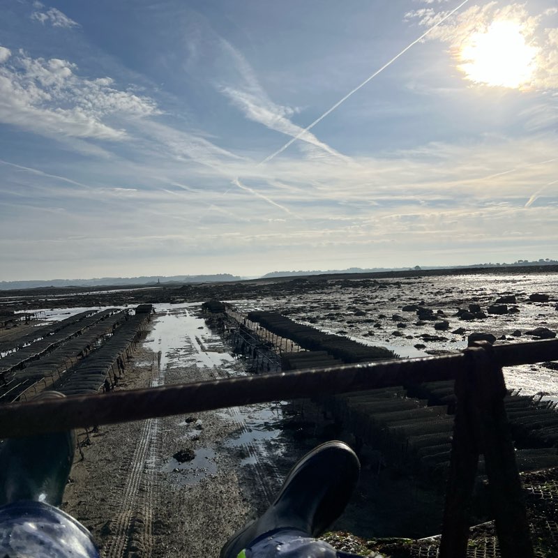 les aquacoulteur logo