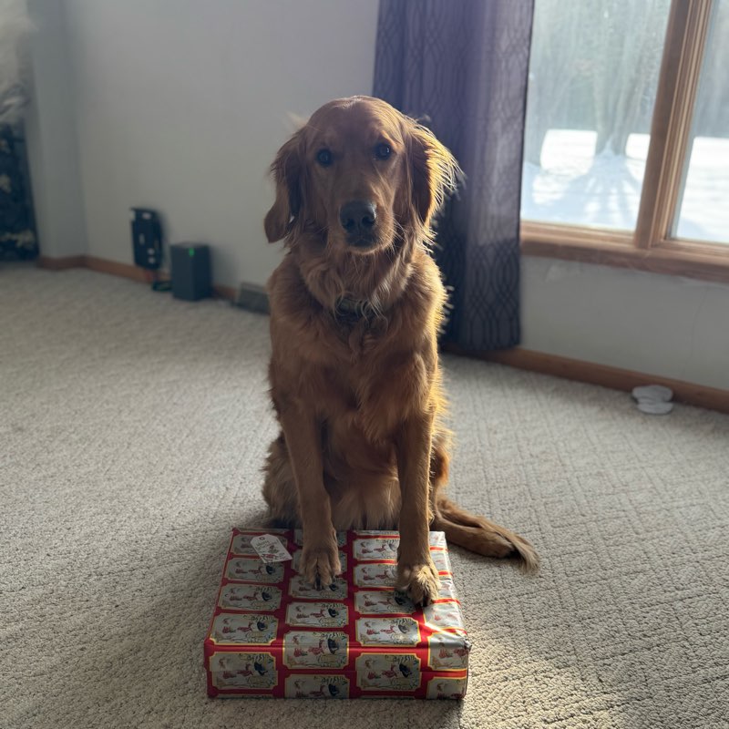 2025 Kirchmeyer Wedding logo