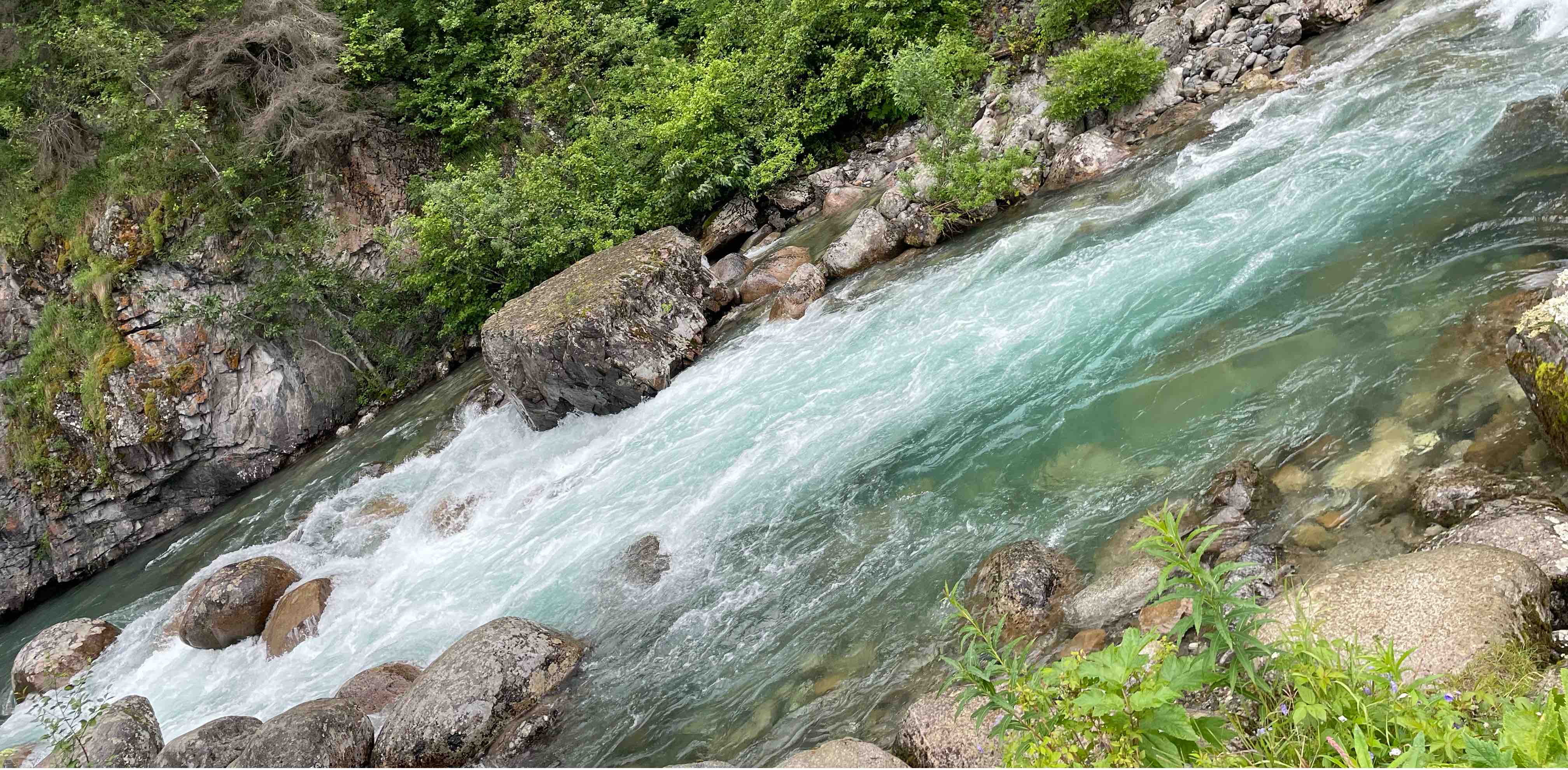 2025 Kirchmeyer Wedding banner