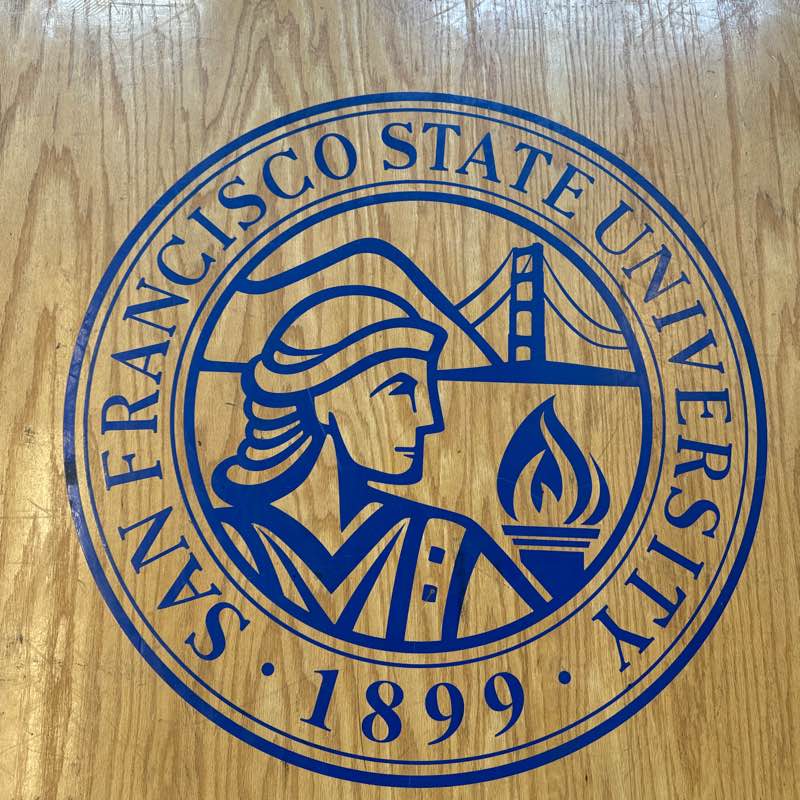 FitPlus Spring challenge 2025 logo