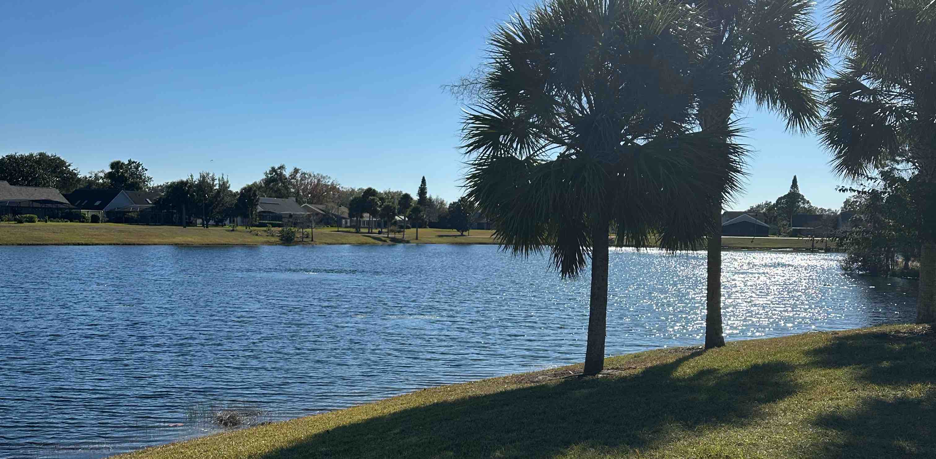 Willow's Walking WARRIORS💪🏽👟💪🏽👟 banner