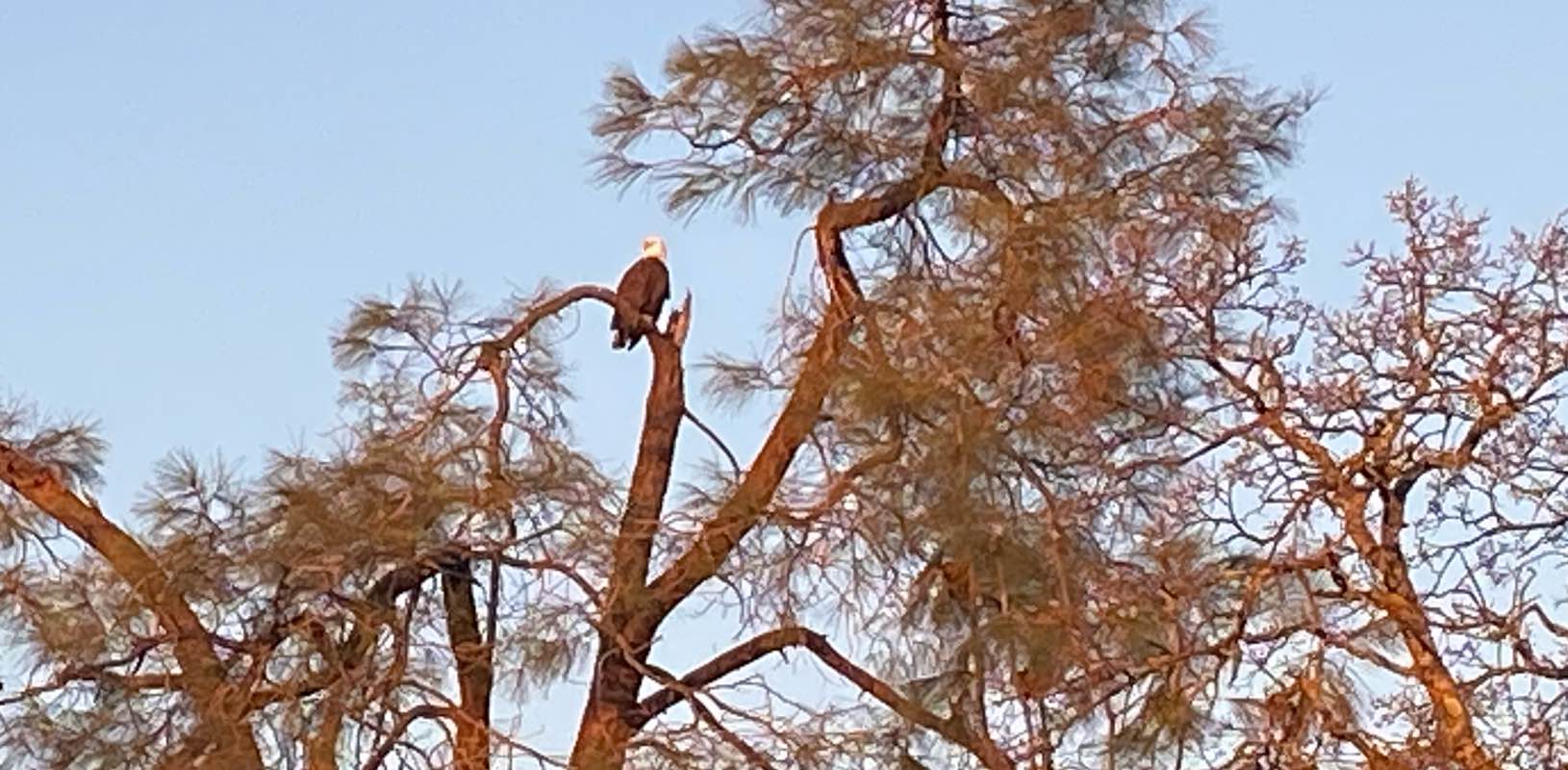 Get up and Go banner