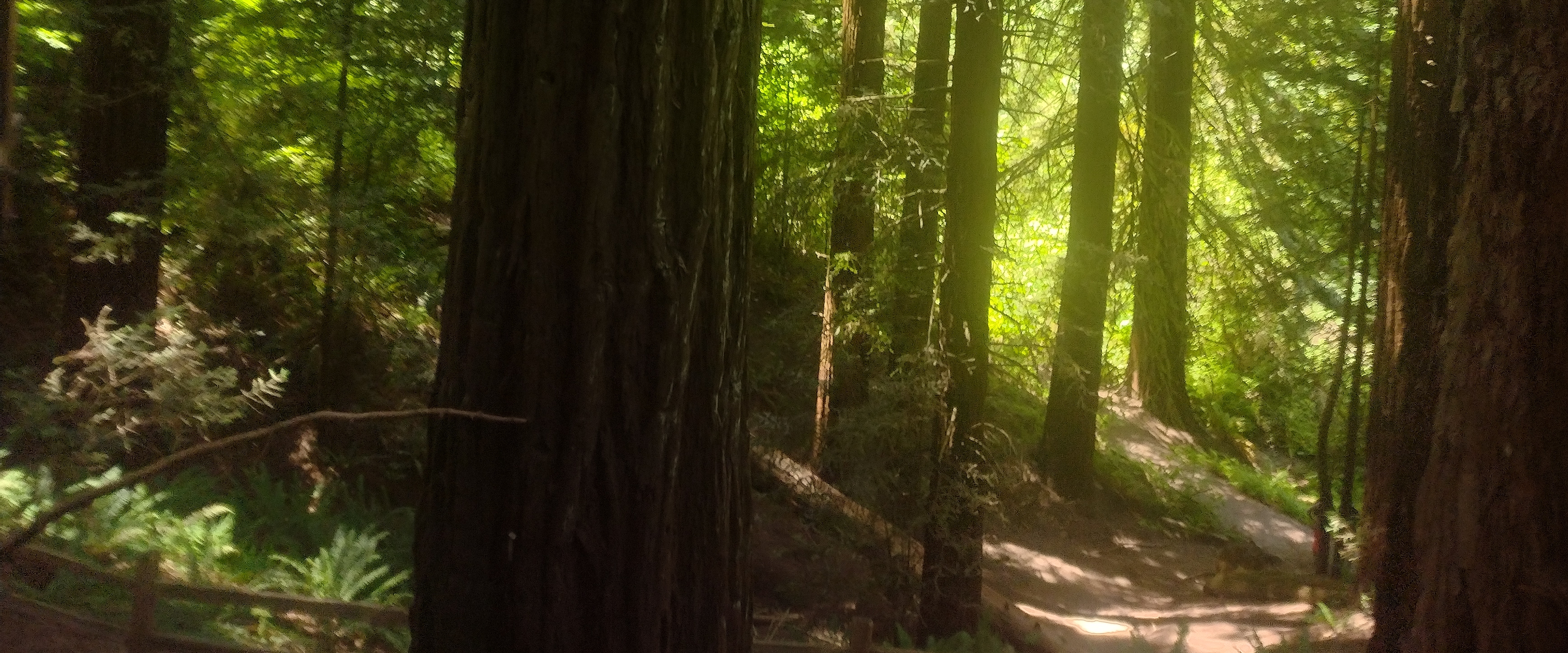 MUJERES EN MOVIMIENTO GO! banner