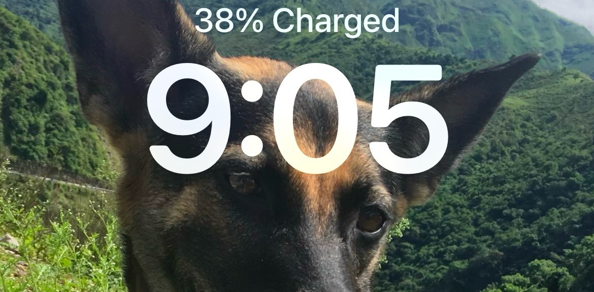 Delhi sprinters banner