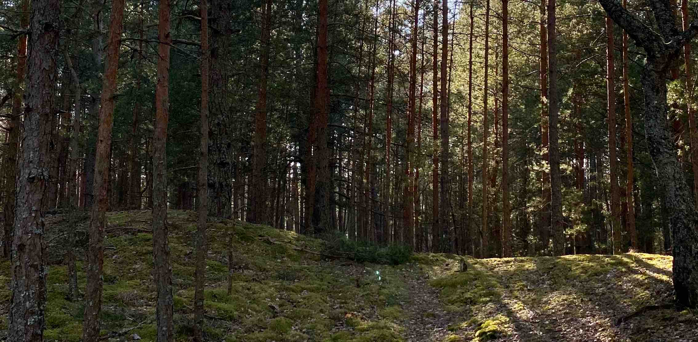 Septembra staigātājas banner