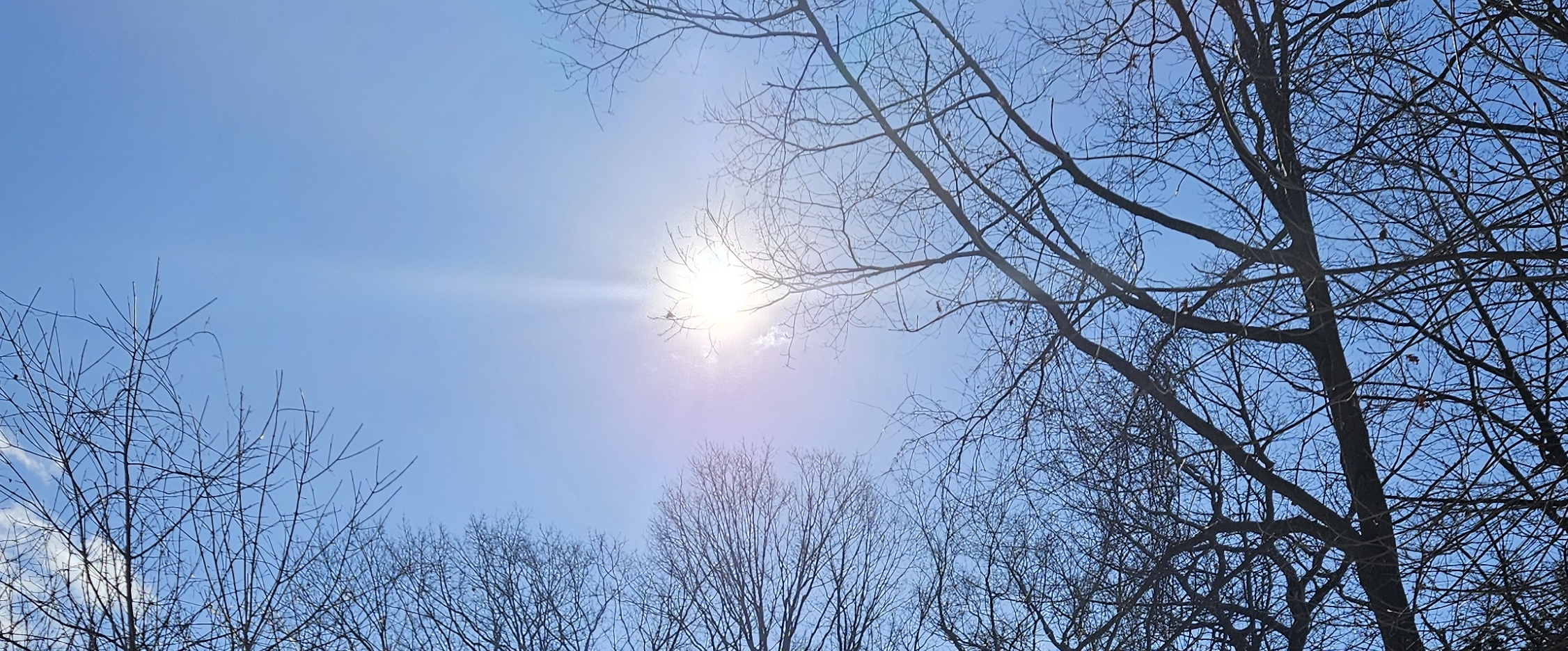 😊WEEKEND WALKS😊 banner