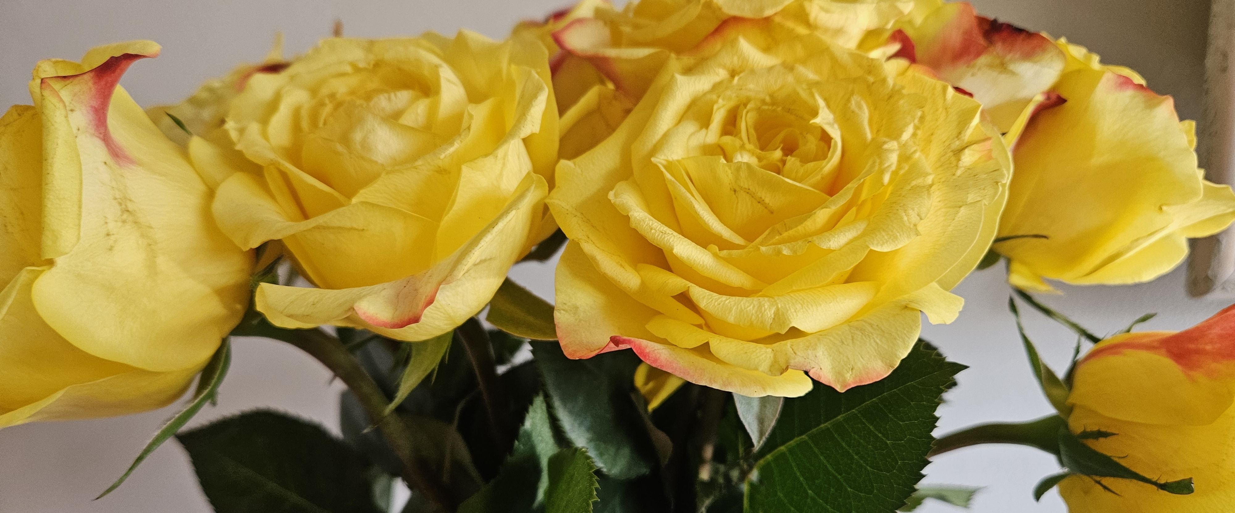 Talford’s 12k Strong Group banner