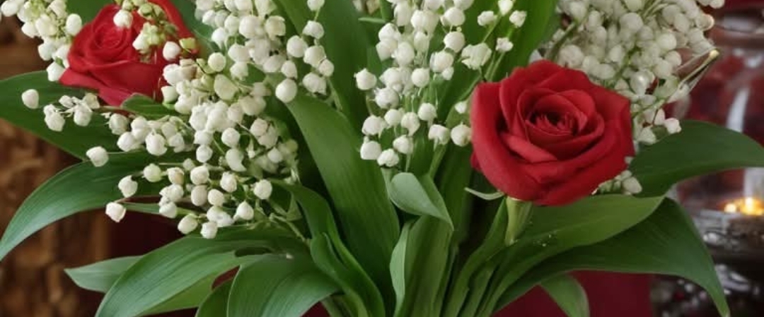 Fit4life 2025 banner