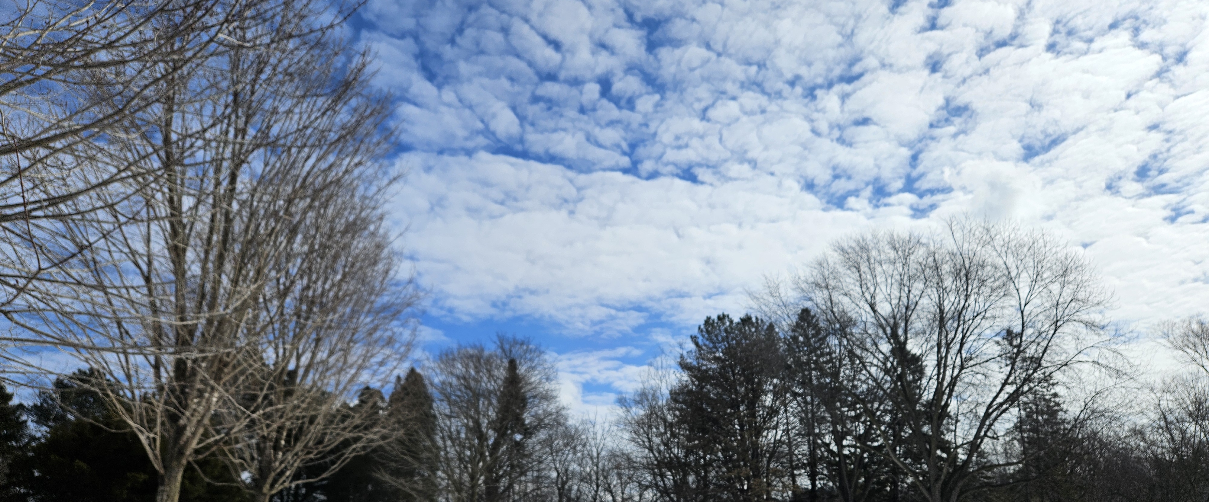 Kingmakers Health YEAR 2025 banner