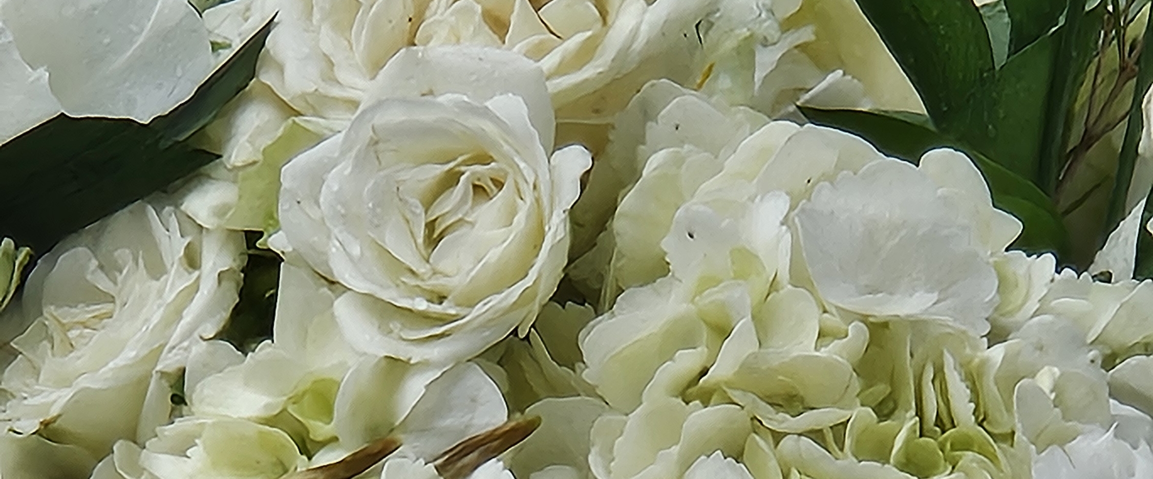 🌿ONE STEP AT TIME🌿 banner