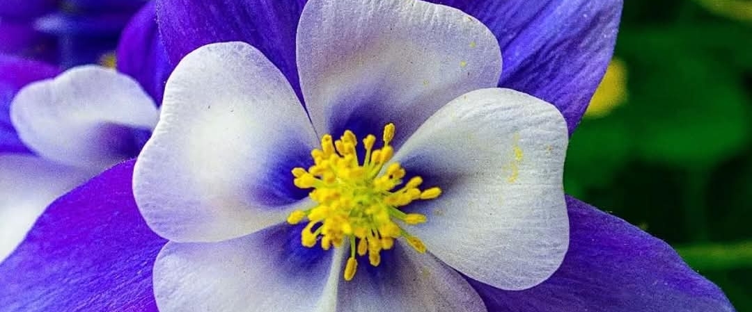 🇹🇷ISTANBUL🇹🇷 banner