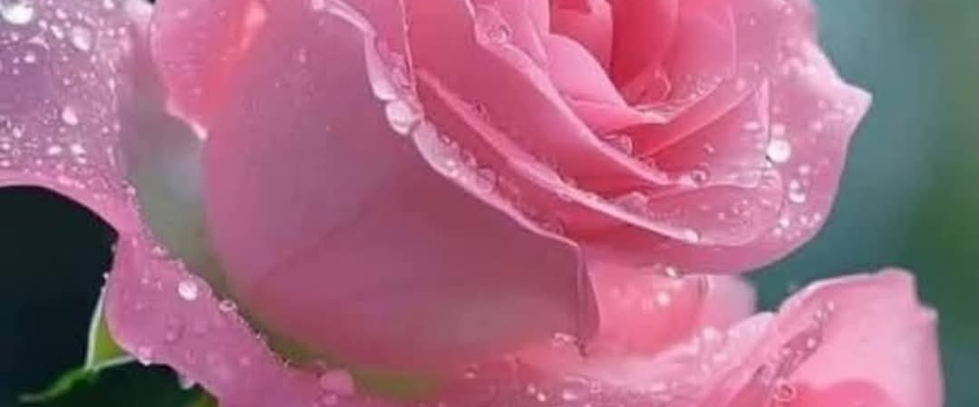 🎉SLOW BUT SURELY🎉 banner