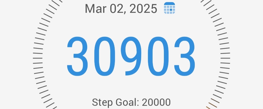 Walking/Running Team banner