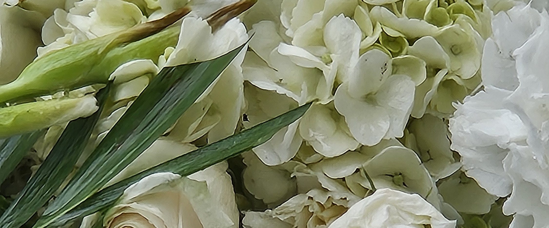 MARCH 10k challenge banner