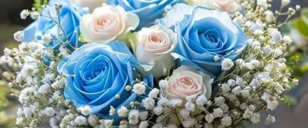 🍎Tioluwa Fitness🍎 banner