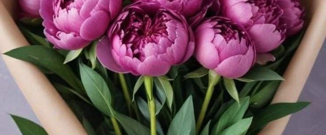 💐WALK & BE HAPPY💐 banner