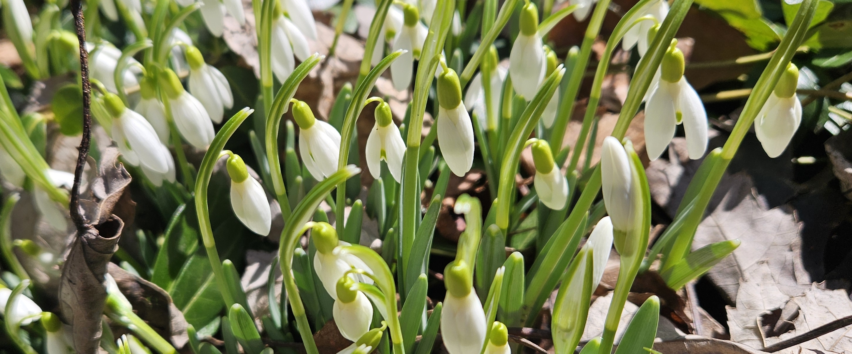 🍇 ACTIVE & FIT🍇 banner