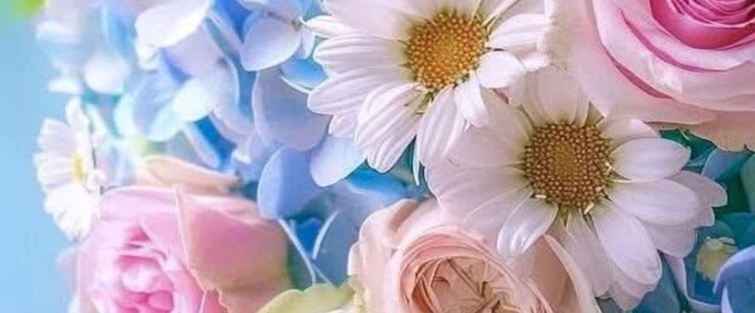 ✨️2025 STEPS✨️ banner