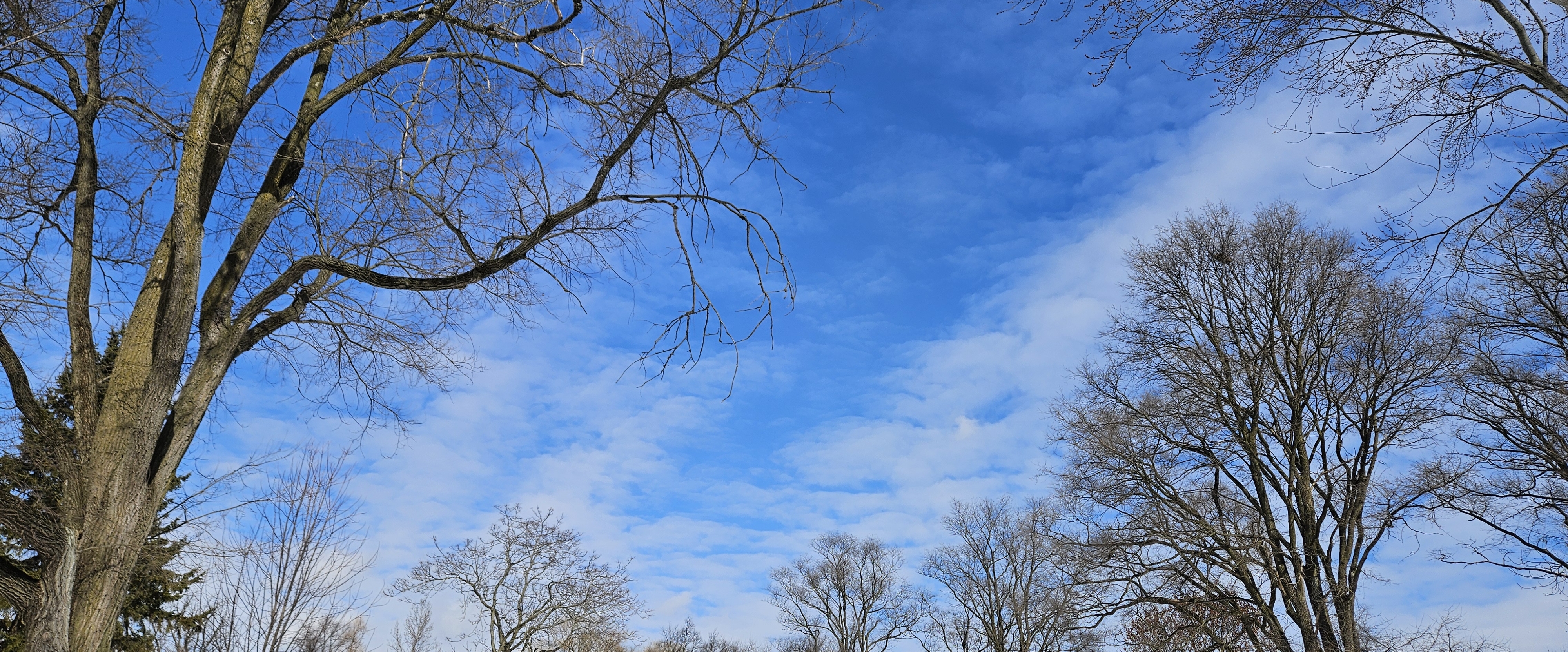 Step In The Name of Love banner