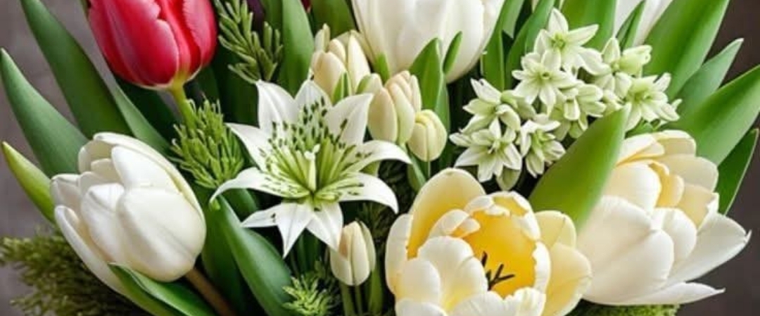 Body-Fitness . banner