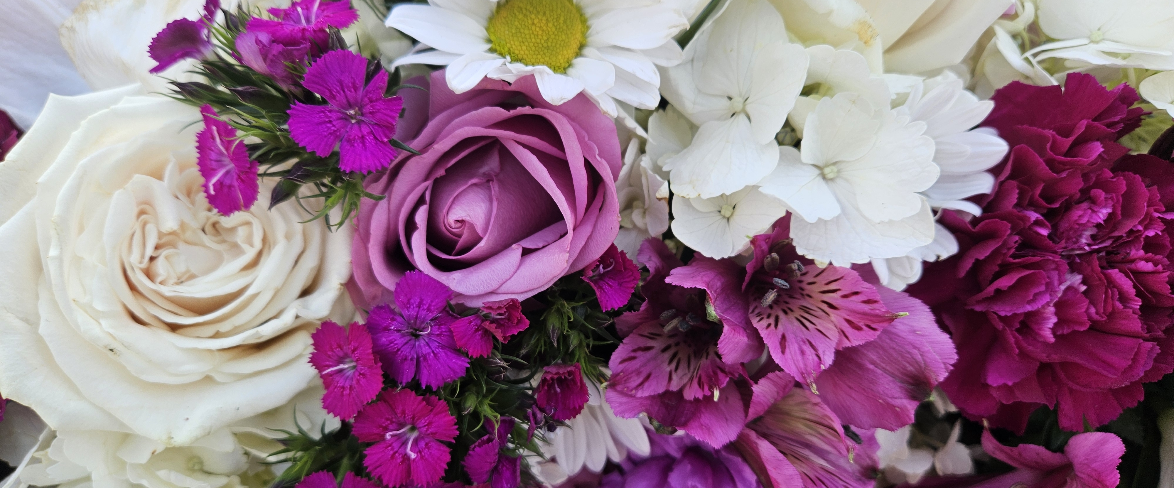 AUFET ✅️2️⃣0️⃣2️⃣5️⃣✅️ banner