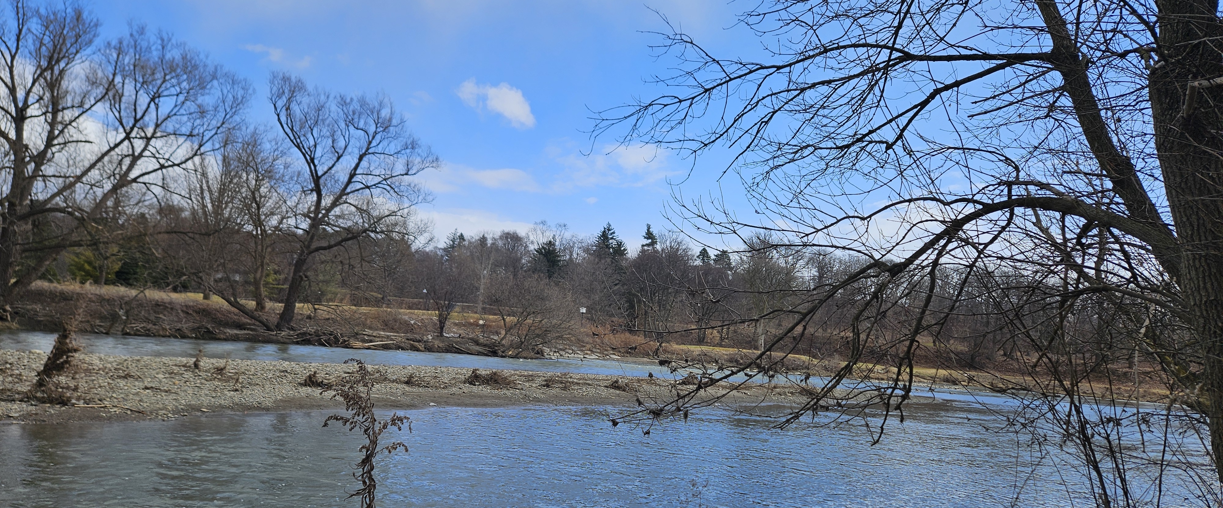 ✨️FUN STEPS✨️ banner