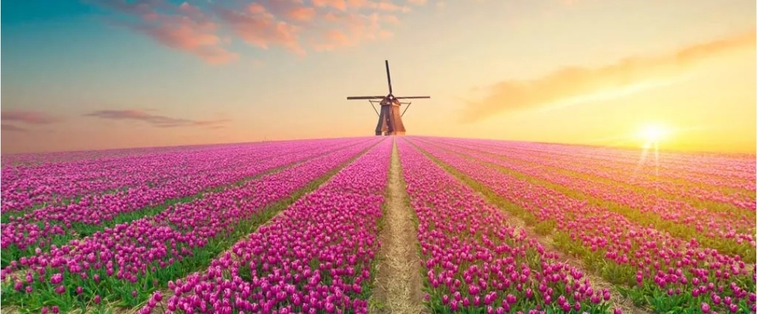 Welcome to the Netherlands 😃 banner