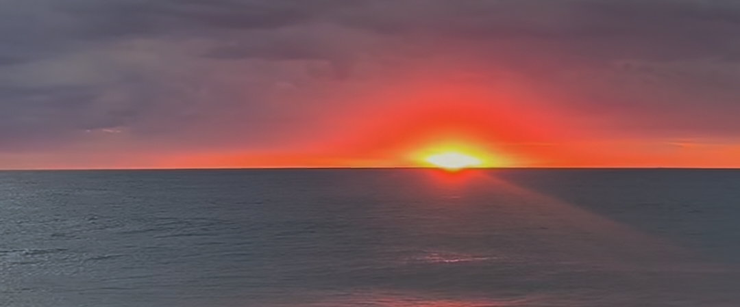 💪 Fitness Club💪 banner