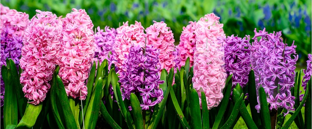 💓25全企💓 banner