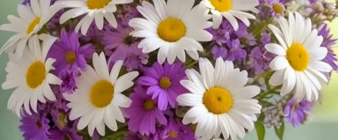 💕MBTC WALKERS 💕 banner