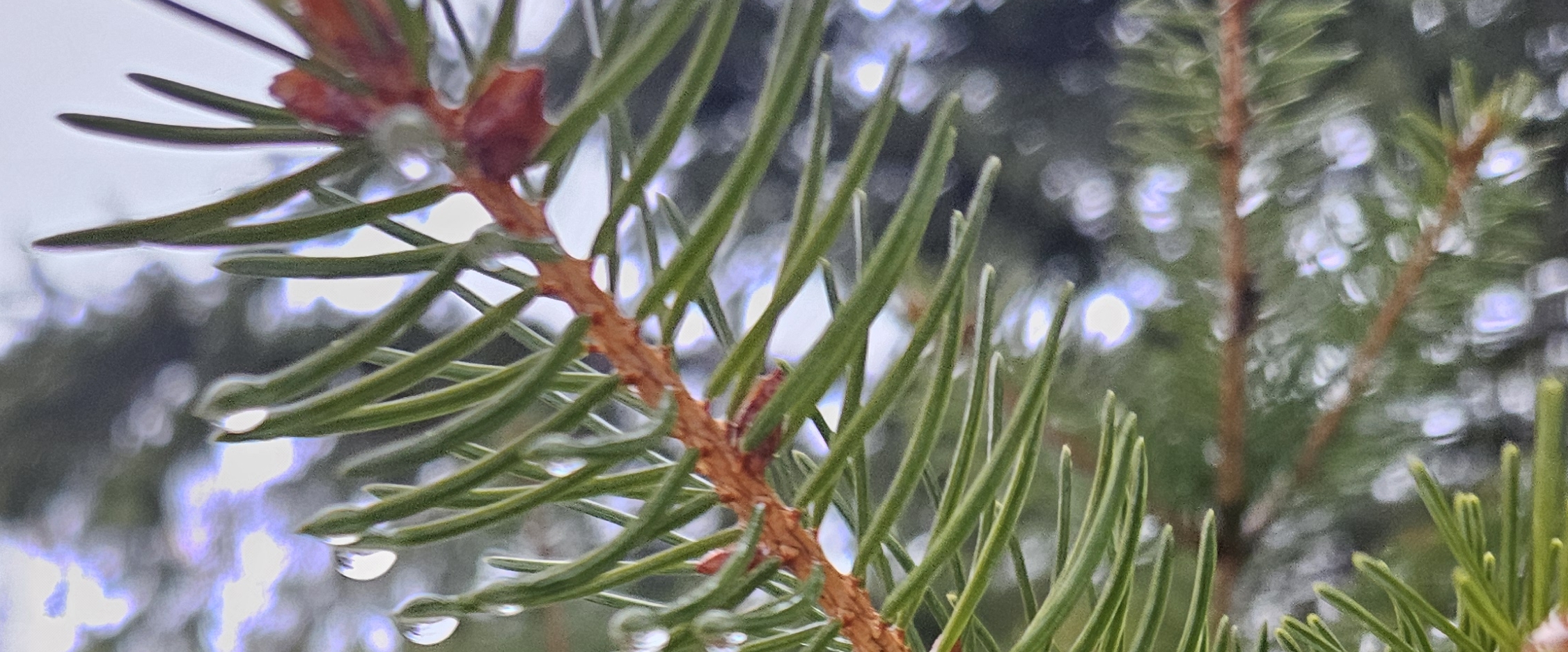 ЗОЖ Украина banner