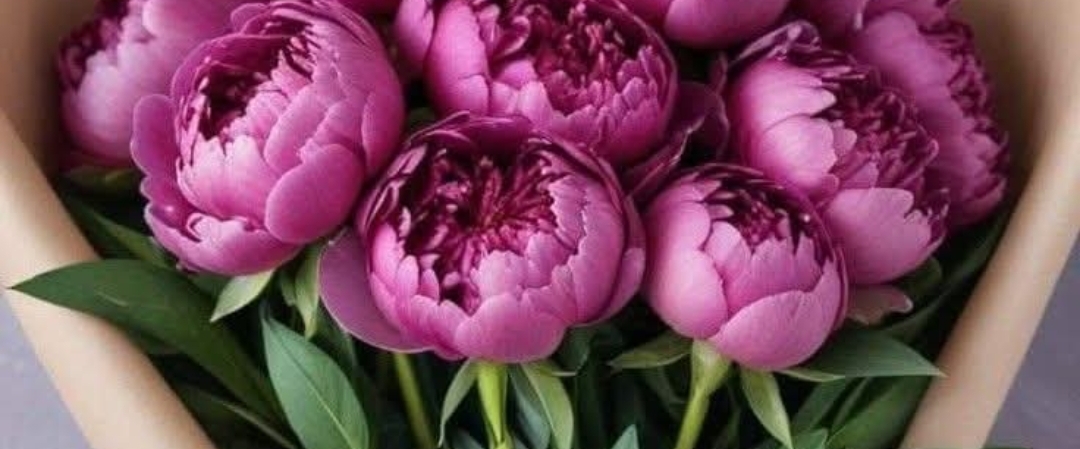 The Big Steppers banner