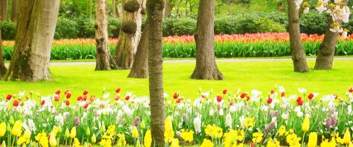 💕EVENING WALKS💕 banner