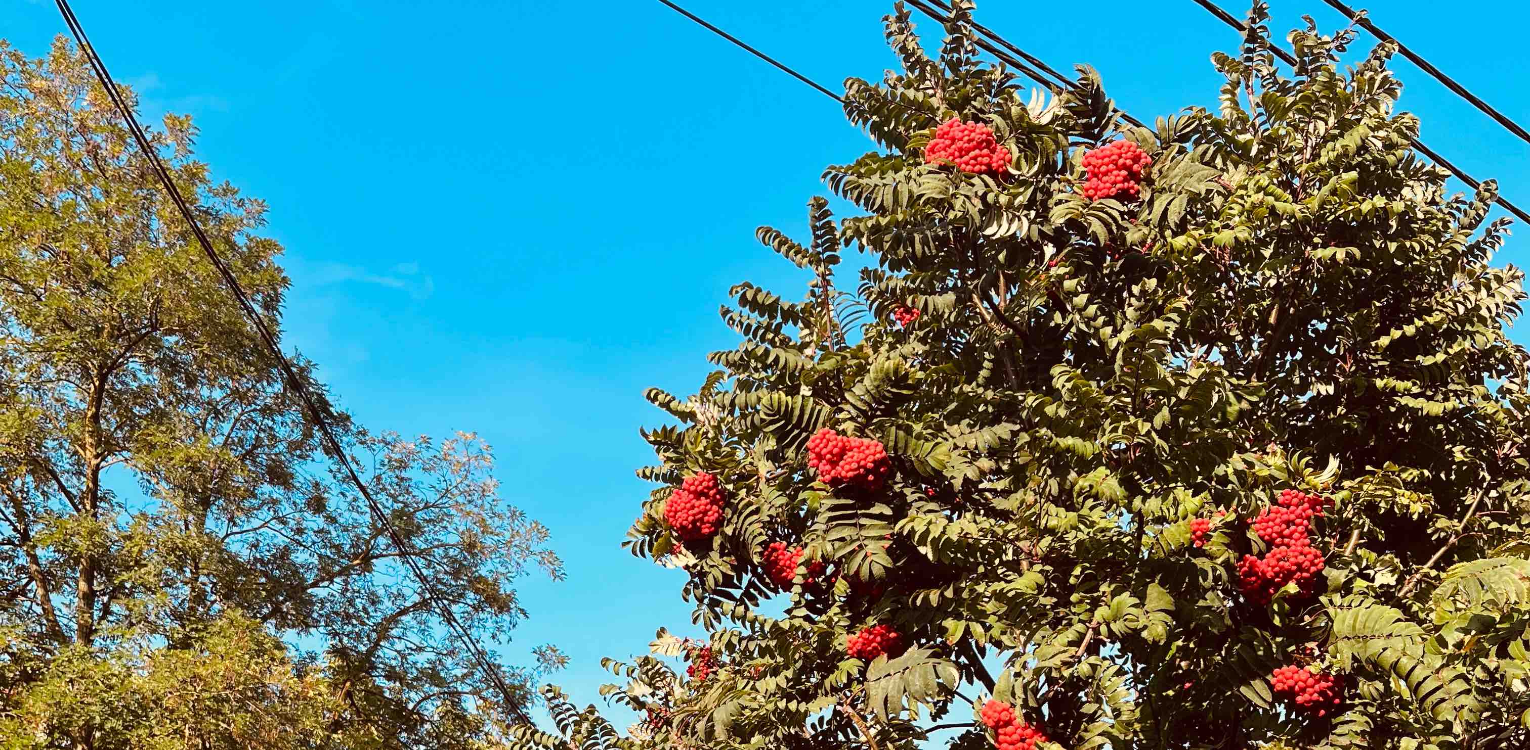 Иду под музыку 🎶 banner