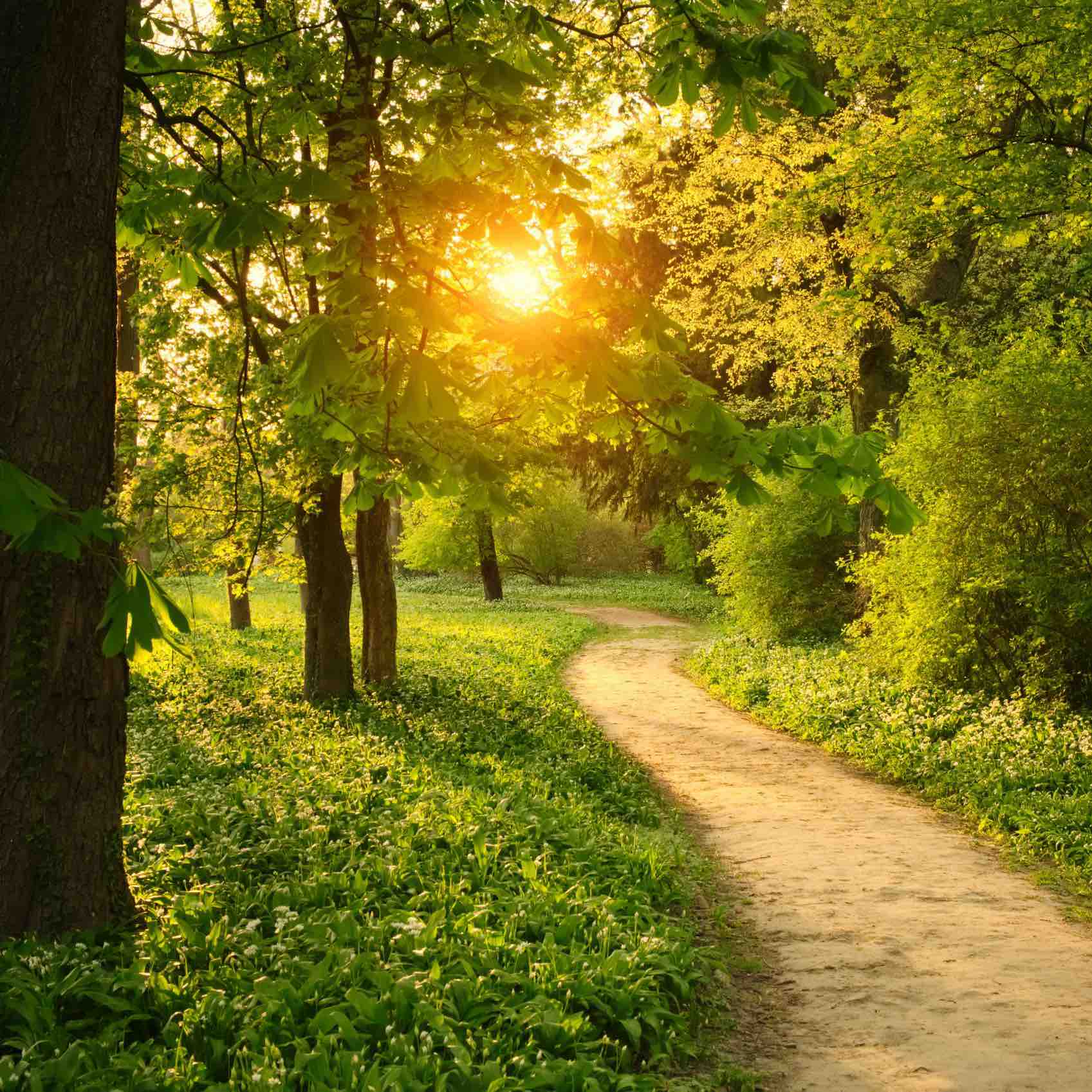 Once Upon A Mile logo