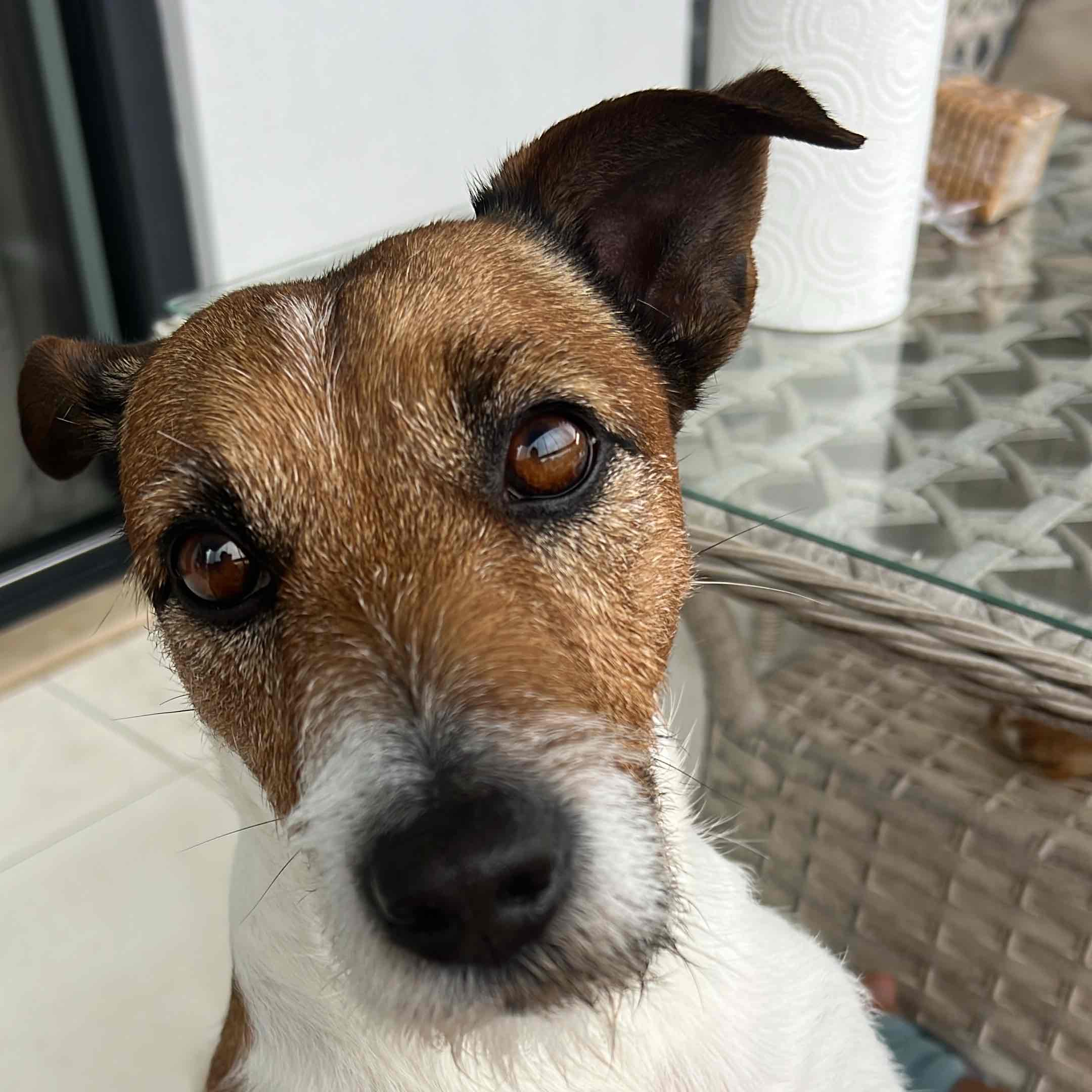 Вставай и стань сильнее 💪 logo