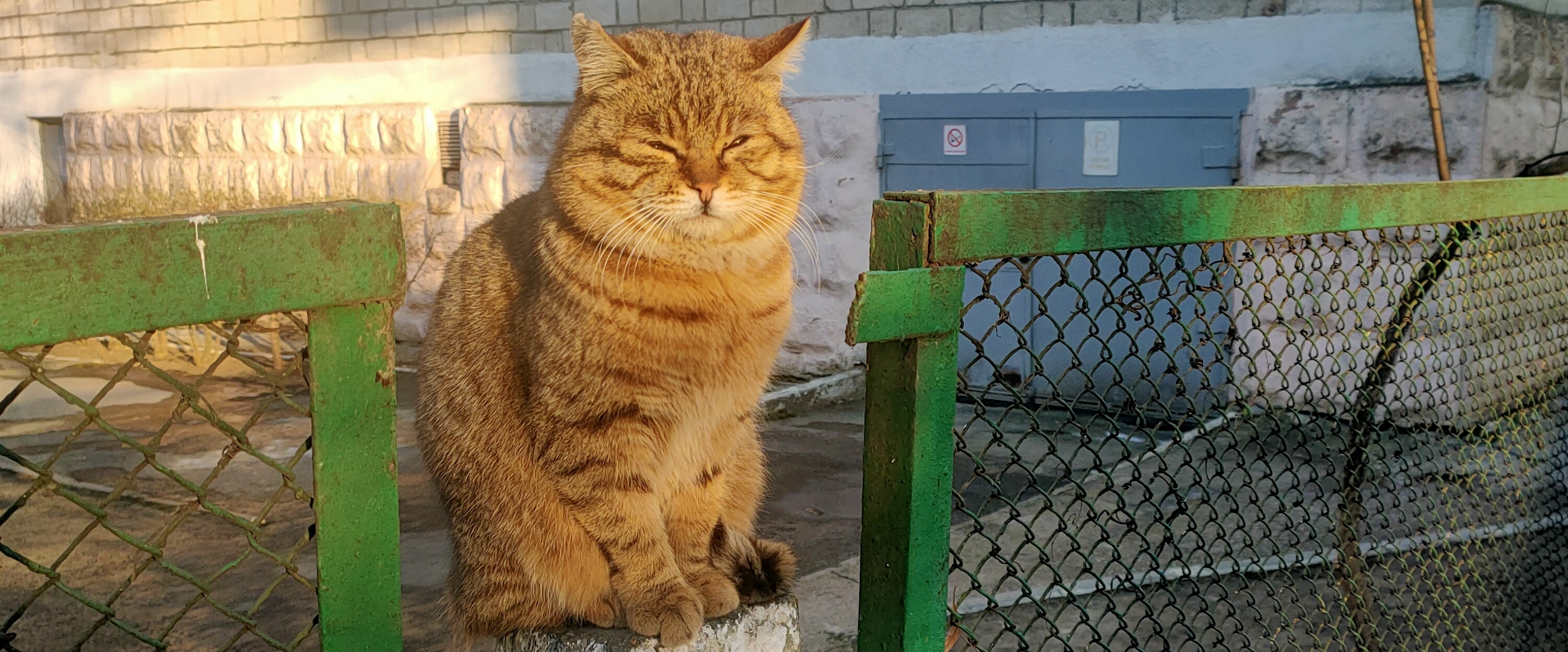 Кишинев прогулки banner