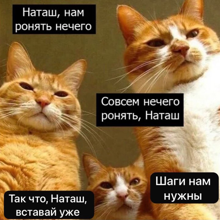 Шагающие Блондинки 💃💃💃💃 logo