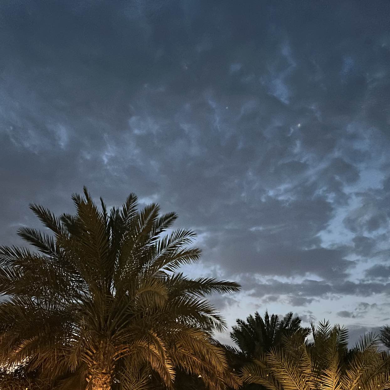 Walking challenge logo