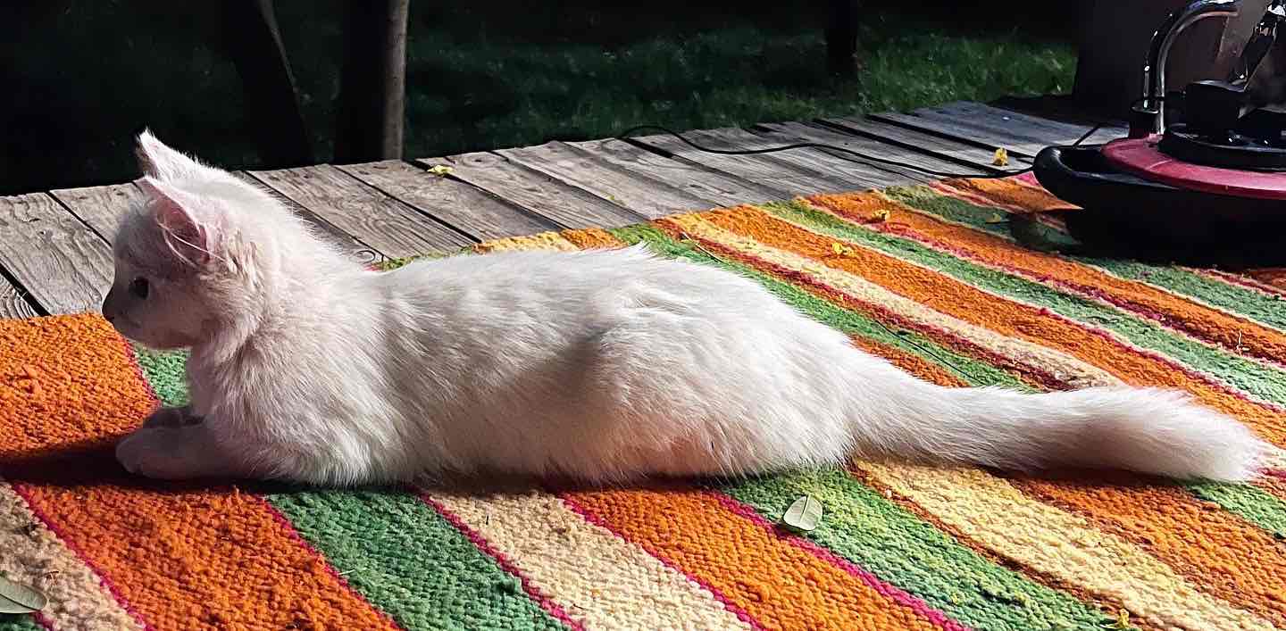 monster jogging game banner