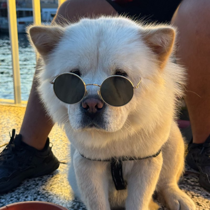 Yakovlechi and Geiravichi Wang logo