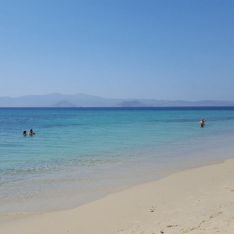 MICU Step Challenge Sister logo