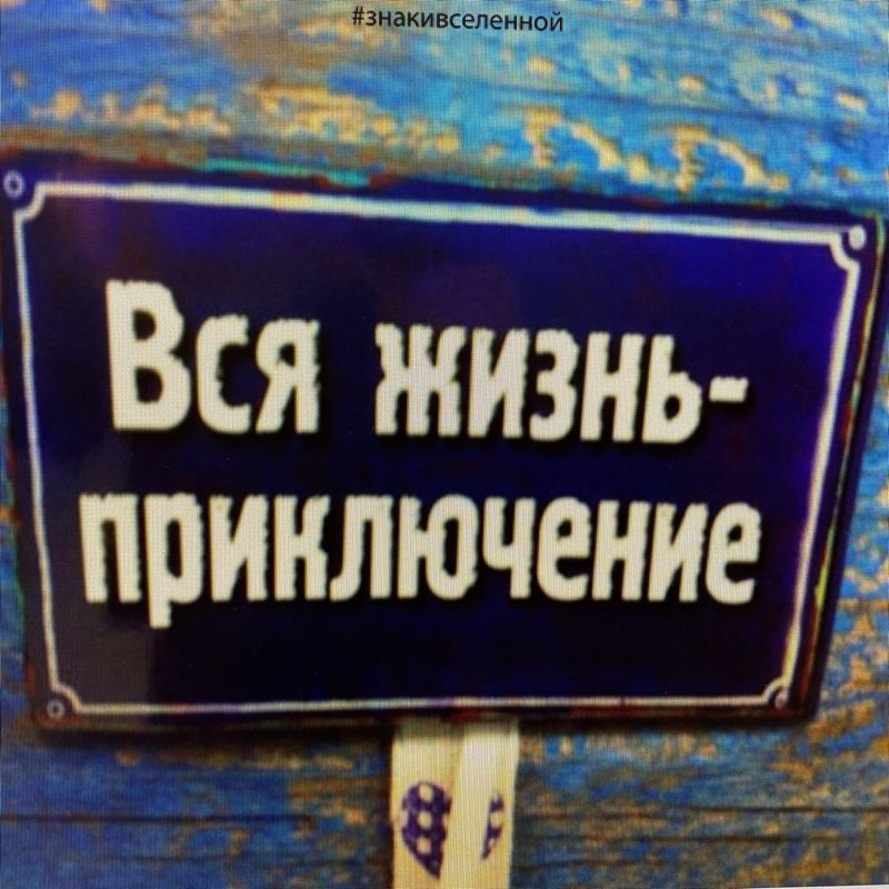 10 000 шагов в день! logo