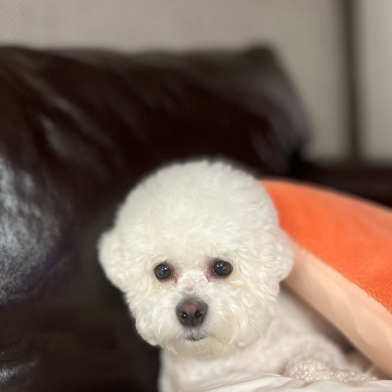 땅윤 초등학교 logo