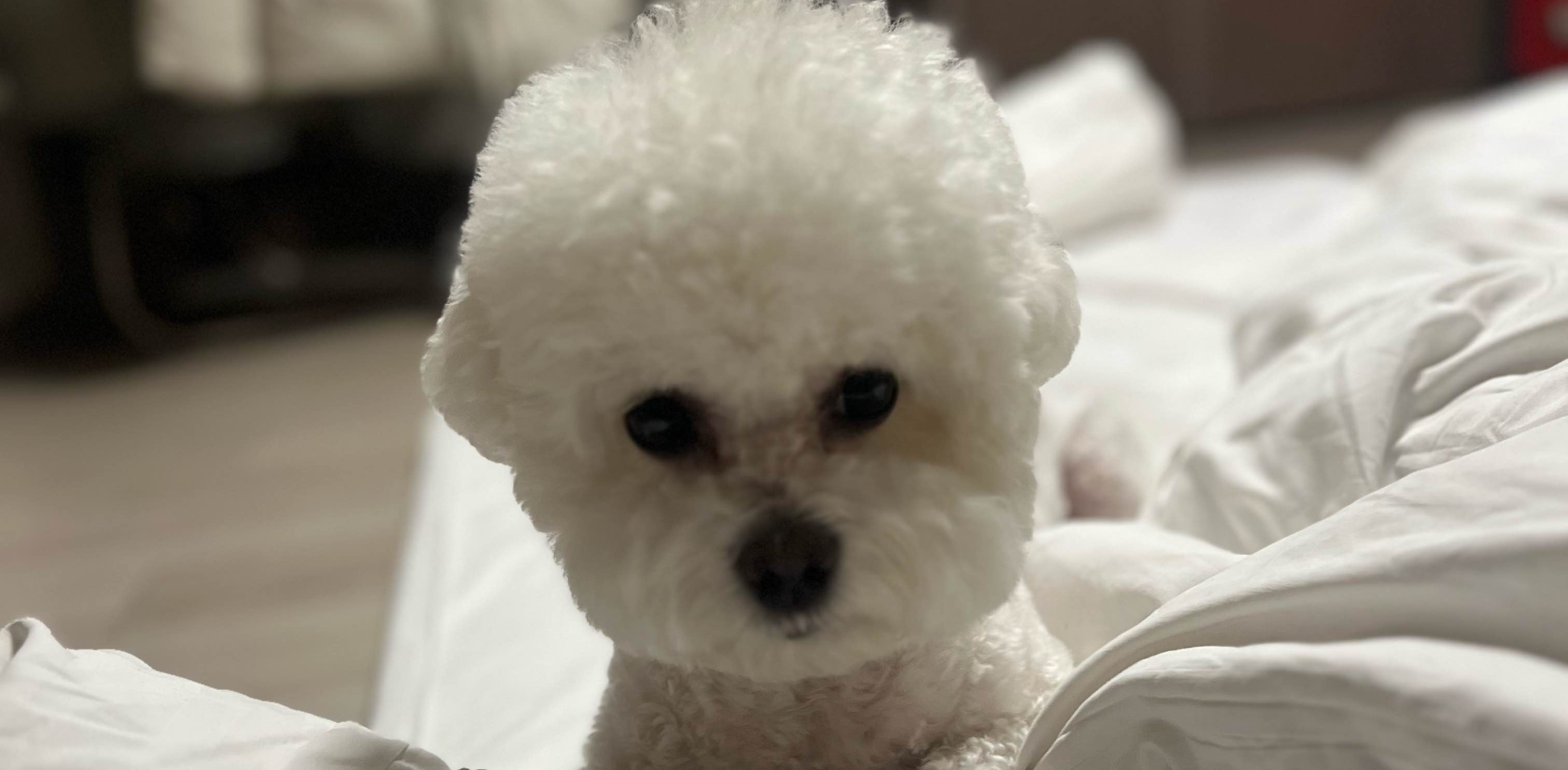 땅윤 초등학교 banner